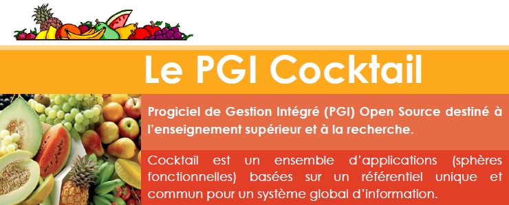 Pgi-cocktail.JPG